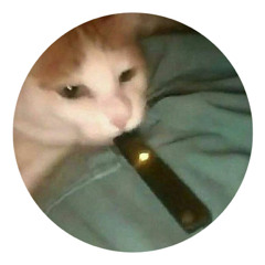 Donutxr