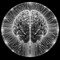 neurotica