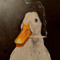 GOOS3