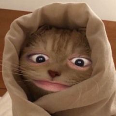 Animeboy
