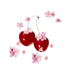 Ch🍒rri