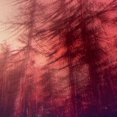 @корольдрамы