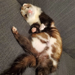 Matthias<3