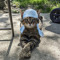 durag cat