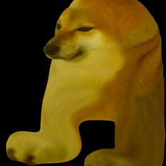 doge bro