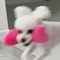 yulmuuu