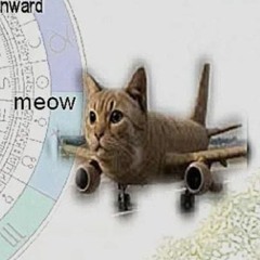 ๏קคɭɯιɳɠʂ