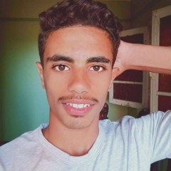 Ziad Ashraf16