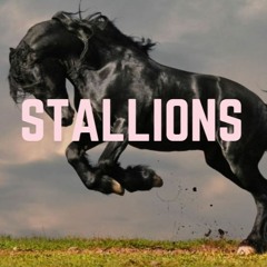 Stallions