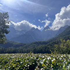 Lukava Lija