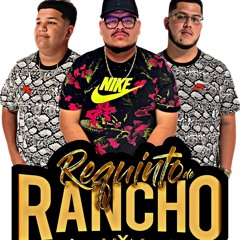 Requinto De Rancho