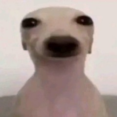🖤UwU🖤