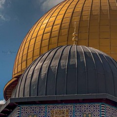 لا إله إلا أنت سبحانك إني كنت من الظالمين 🇵🇸🤍