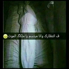 Mohmed Abd ElRasul