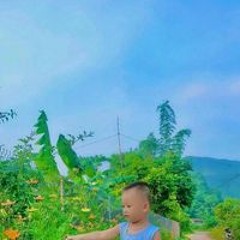 Văn Vi