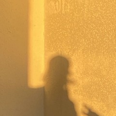 IAMVICEYY