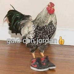 Gabriel Pereira santos
