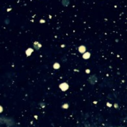 Rolling In The Deep (DnB Remix)
