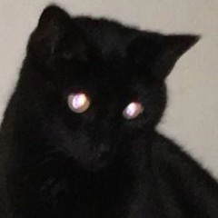 Ein.