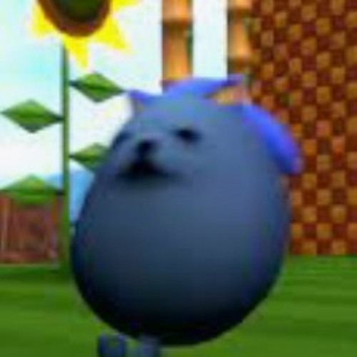 Sonic the eggdog’s avatar