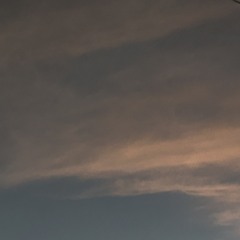 Rialpha_07