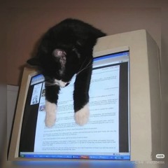 𓆝 𓆟 𓆞 𓆝 𓆟