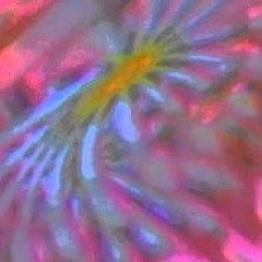 EWS
