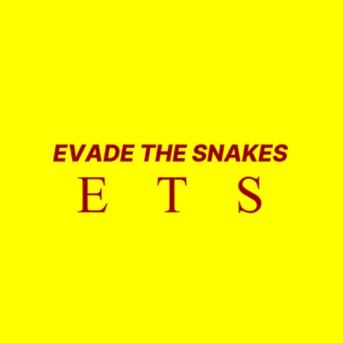 Evade The Snakes’s avatar