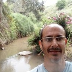 דידי ניר