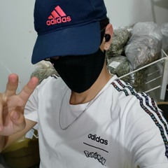 australopitecossaurofox