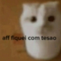Gatinho Fofo