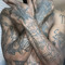 User 297035174