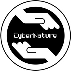 Dj CyberNature