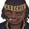 Adechii