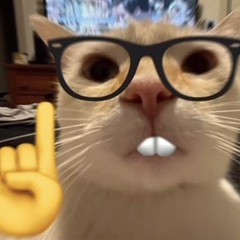 mưa mùa hạ