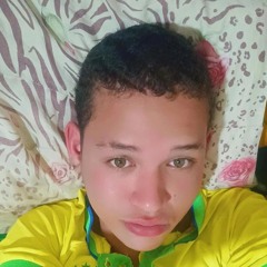 MC Leandro oficial 25