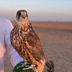 عـوننُ