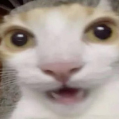 7147