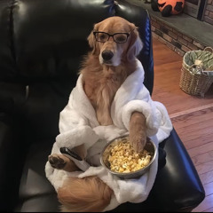 Anderdingus