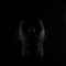 Mr_Sirex