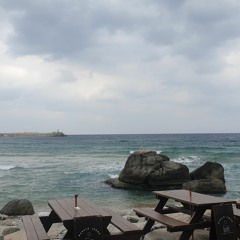 뮤지컬