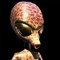 siddasloth4