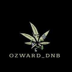 ozward_DNB