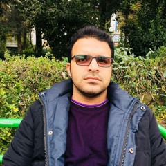 Ali Hoseini 5