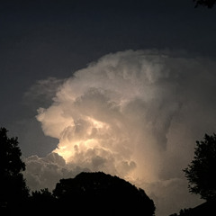 on a lark (and canadian)