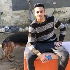 Ahmed Alkaraaly