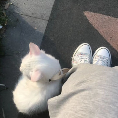 いちか –