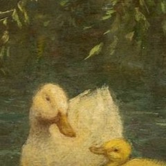 i havent used this acc since 2019