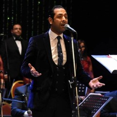 Amir Elrefaay