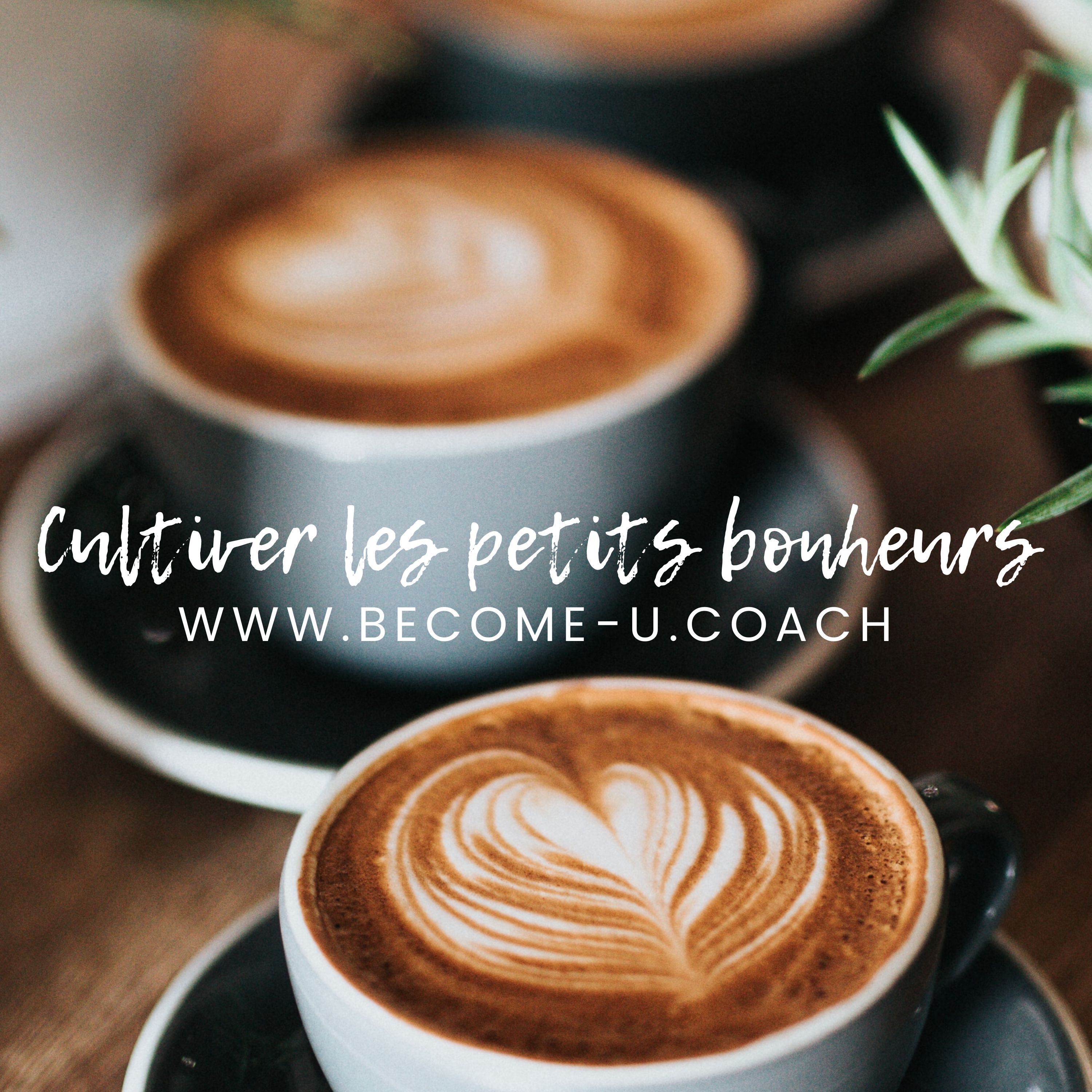 Cultiver les Petits Bonheurs